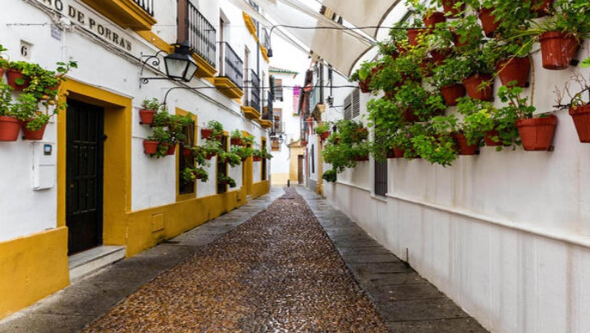 Zahra - Terraza Centro Cordoba Apartment Luaran gambar